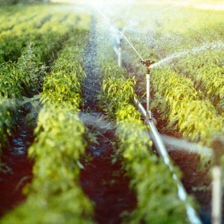 Irrigation System, Installation, & Repairs-Laredo TX Landscape Designs & Outdoor Living Areas-We offer Landscape Design, Outdoor Patios & Pergolas, Outdoor Living Spaces, Stonescapes, Residential & Commercial Landscaping, Irrigation Installation & Repairs, Drainage Systems, Landscape Lighting, Outdoor Living Spaces, Tree Service, Lawn Service, and more. Irrigation System, Installation, & Repairs-Laredo TX Landscape Designs & Outdoor Living Areas-We offer Landscape Design, Outdoor Patios & Pergolas, Outdoor Living Spaces, Stonescapes, Residential & Commercial Landscaping, Irrigation Installation & Repairs, Drainage Systems, Landscape Lighting, Outdoor Living Spaces, Tree Service, Lawn Service, and more.