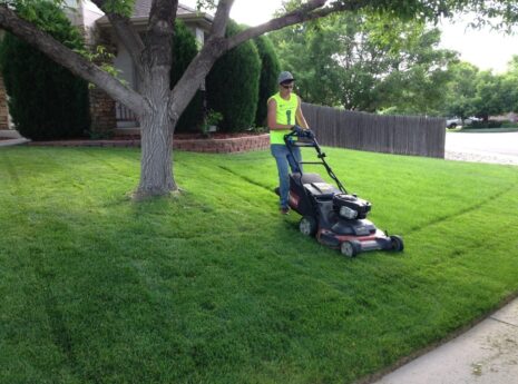 Lawn Service-Laredo TX Landscape Designs & Outdoor Living Areas-We offer Landscape Design, Outdoor Patios & Pergolas, Outdoor Living Spaces, Stonescapes, Residential & Commercial Landscaping, Irrigation Installation & Repairs, Drainage Systems, Landscape Lighting, Outdoor Living Spaces, Tree Service, Lawn Service, and more. Lawn Service-Laredo TX Landscape Designs & Outdoor Living Areas-We offer Landscape Design, Outdoor Patios & Pergolas, Outdoor Living Spaces, Stonescapes, Residential & Commercial Landscaping, Irrigation Installation & Repairs, Drainage Systems, Landscape Lighting, Outdoor Living Spaces, Tree Service, Lawn Service, and more.
