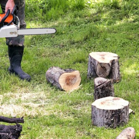 Tree Service-Laredo TX Landscape Designs & Outdoor Living Areas-We offer Landscape Design, Outdoor Patios & Pergolas, Outdoor Living Spaces, Stonescapes, Residential & Commercial Landscaping, Irrigation Installation & Repairs, Drainage Systems, Landscape Lighting, Outdoor Living Spaces, Tree Service, Lawn Service, and more. Tree Service-Laredo TX Landscape Designs & Outdoor Living Areas-We offer Landscape Design, Outdoor Patios & Pergolas, Outdoor Living Spaces, Stonescapes, Residential & Commercial Landscaping, Irrigation Installation & Repairs, Drainage Systems, Landscape Lighting, Outdoor Living Spaces, Tree Service, Lawn Service, and more.